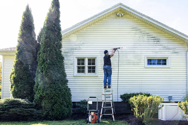 Best Dumpster Area Cleaning  in Wahoo, NE